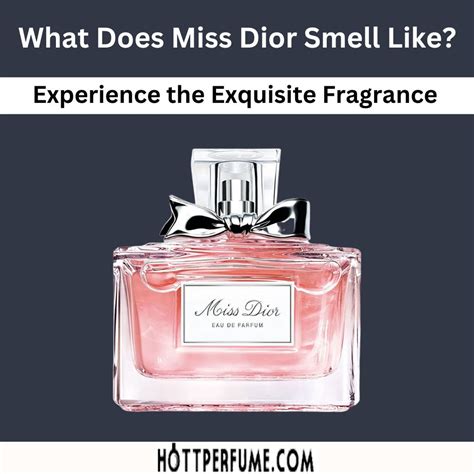 dior addict smell like|miss Dior Addict perfume.